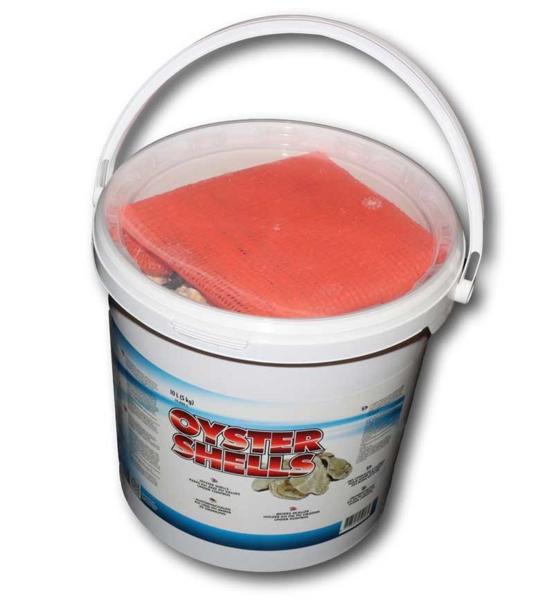 Austernschalen als Stabilisator - Pool & Teich