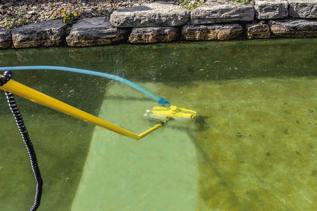 Rössle Bisam Bürste 44 Netzteil-Variante - Pool & Teich